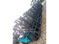 brand-new-forklifts-small-1